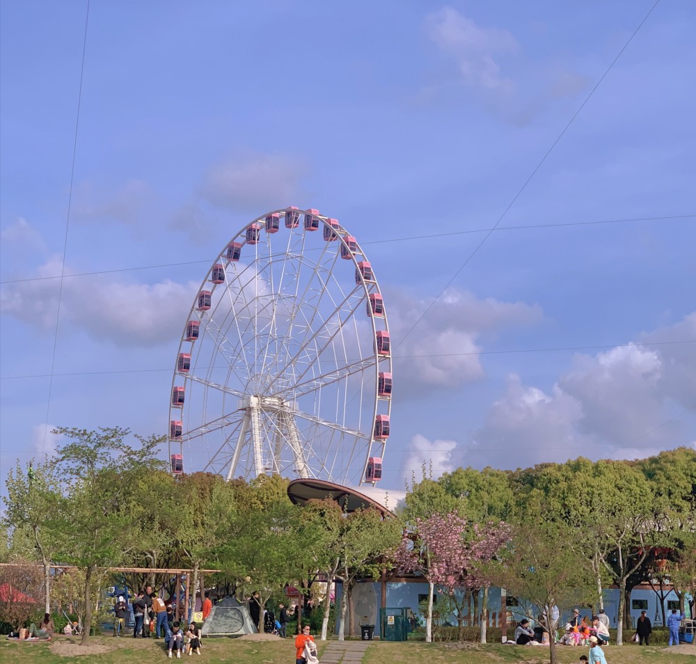 点亮你心中的光上海顾村公园