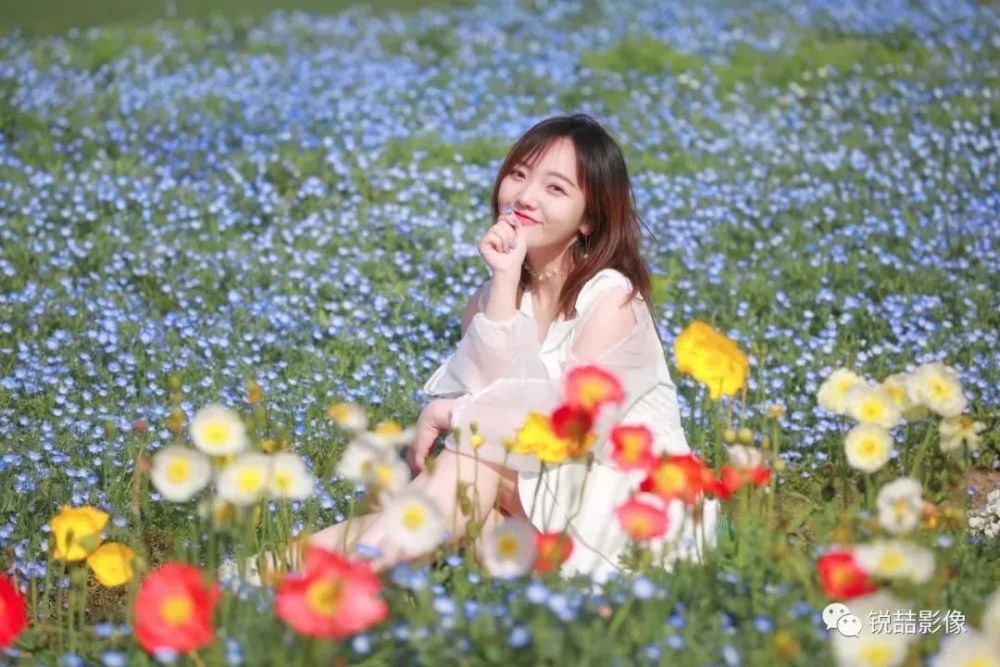 辰山植物园出教程了～花海打卡照这样拍,超!级!美!_腾讯新闻