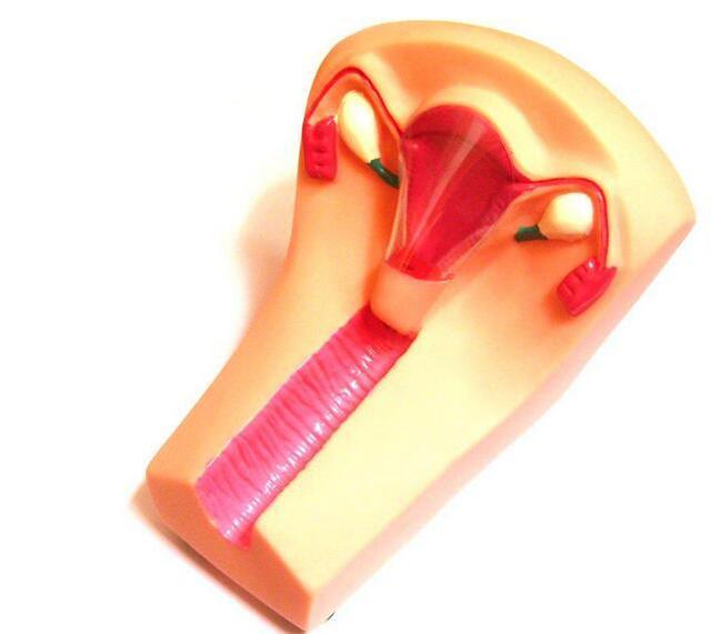 20年前选择"上环"的女人,如今后悔了吗?她们说了大实话