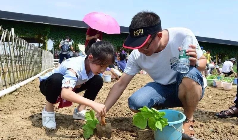 郭威搬家有打算保持独立很关键网友郭威迈出团圆的第1步