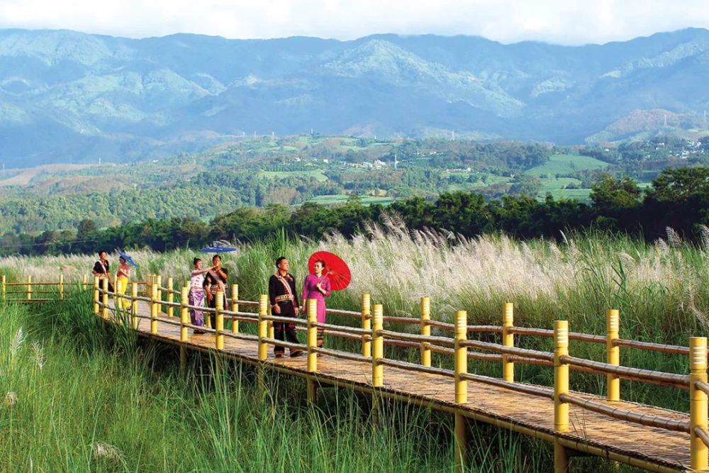 云南盈江国家湿地公园美了家园火了生活