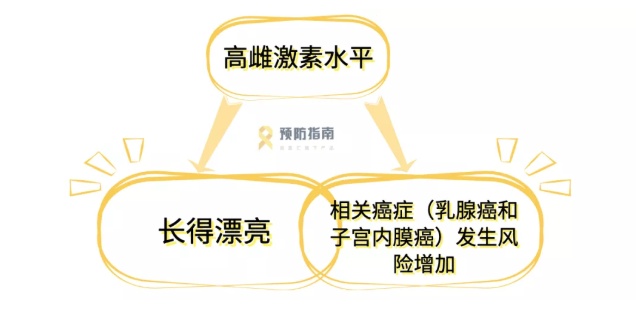 的女性,通常容貌姣好;而分泌过高的雌激素则会诱发乳腺癌和子宫内膜癌