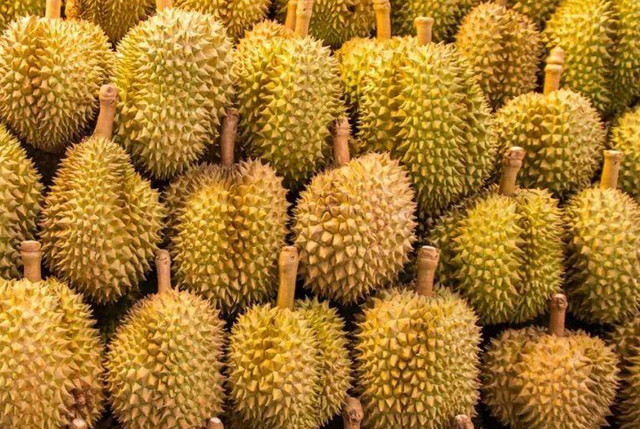 菠萝蜜10块跌到35元榴莲上涨一倍大樱桃一斤50元高端水果贵在哪