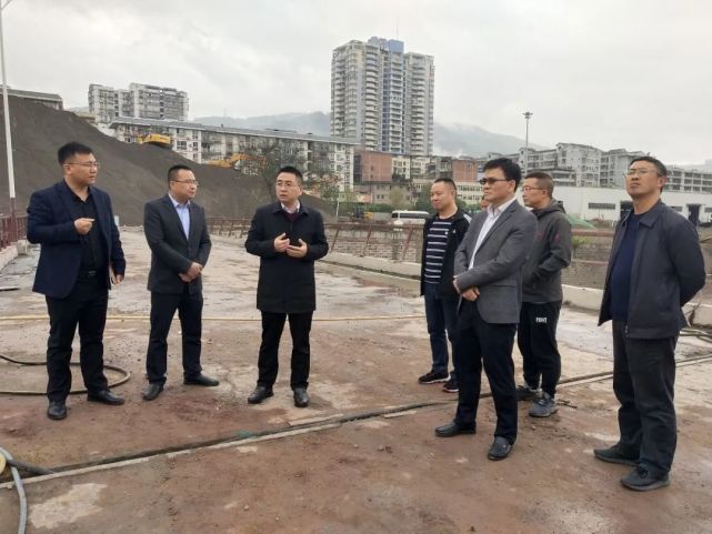 杨凯调研生态环境保护水富港建设等工作