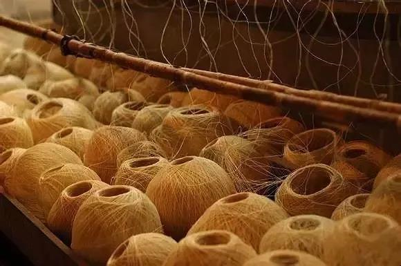 汉麻8000年来人类发现的最完美材料