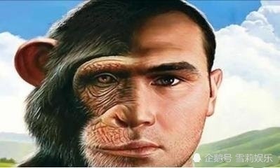 有点惊诧:世界首个人-猴嵌合体胚胎诞生!_腾讯新闻