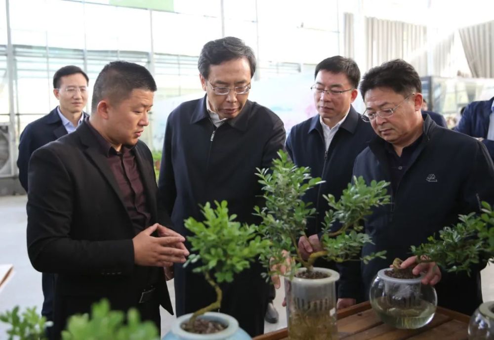 乡村振兴看如城丨南通市委副书记市长王晖来如调研