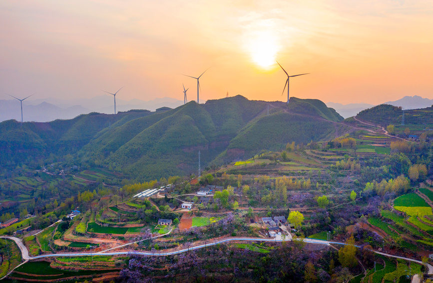 河南鲁山桐花飘香山乡梯田美如画