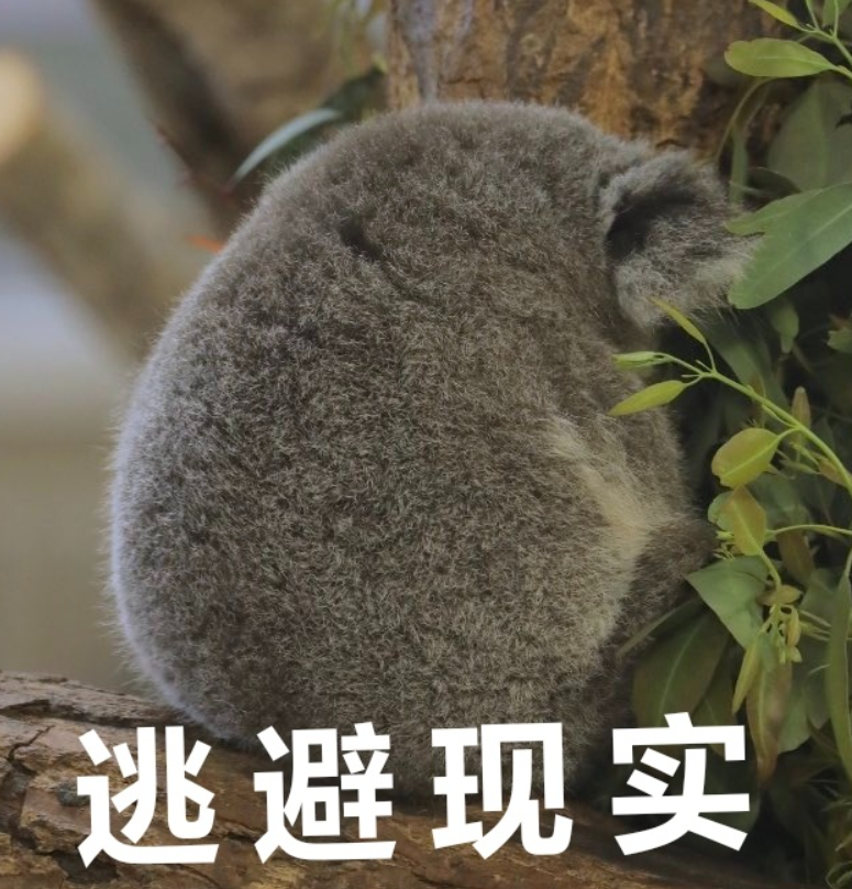 社恐人社恐魂,戴起耳机局外人_腾讯新闻