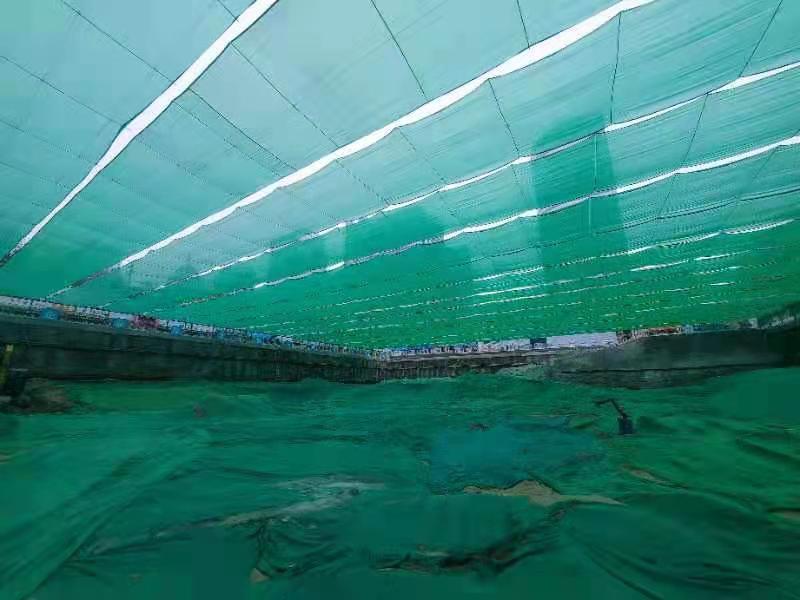 石家庄市首次投用大跨度防尘天幕系统