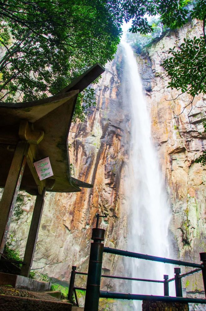 徐凫岩踏春阳光四月万物生长