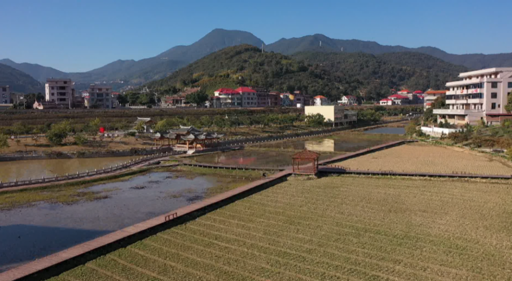 安溪这个革命老区村曾是远近闻名的"打铁村",如今成了全国示范村