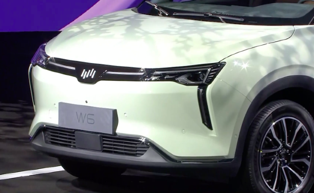 威马代言人董子健钟楚曦助力威马w6上市售价1698万元起
