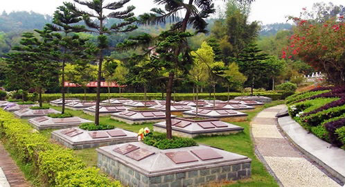 上海树葬的价格你知道吗?