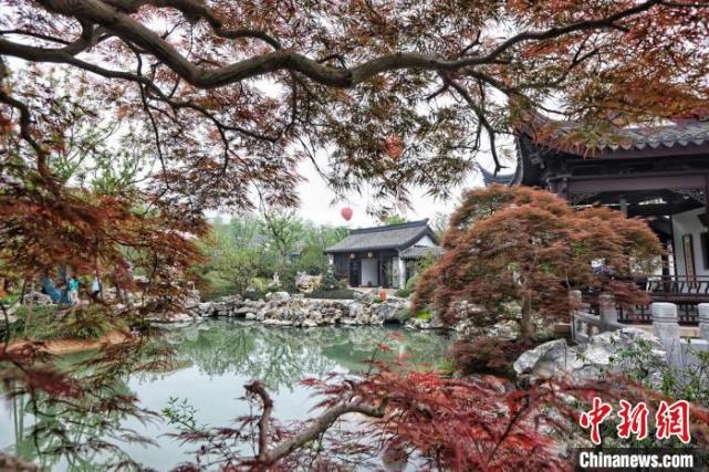 建筑行业专家齐聚江苏园博园共话"城市双修"|江苏|章海峰|南京|泱波