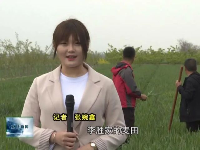 打开腾讯新闻,查看更多图片 >记者:张婉鑫这里是夏县水头镇上牛村李胜