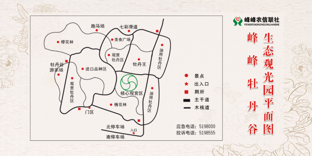 牡丹园里牡丹艳让你惊艳的还不止这些