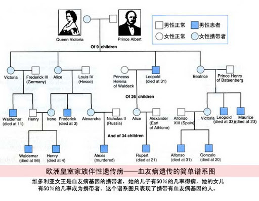 曾經困擾歐洲皇室的血友病為什麼絕大部分發生在男性身上