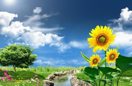 早上正能量满满的朋友圈的句子