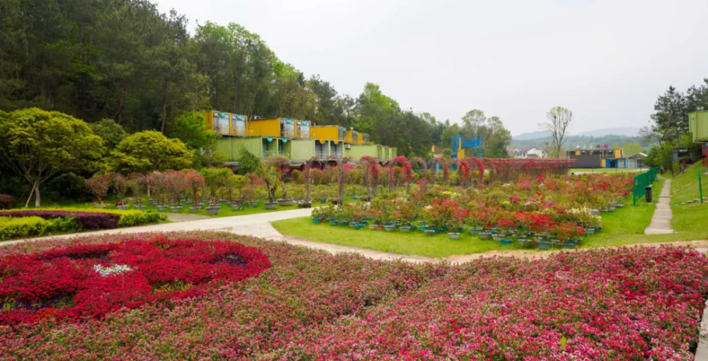 童玩世界旋轉飛椅花海卡丁車來英山四季花海一起fun肆嗨