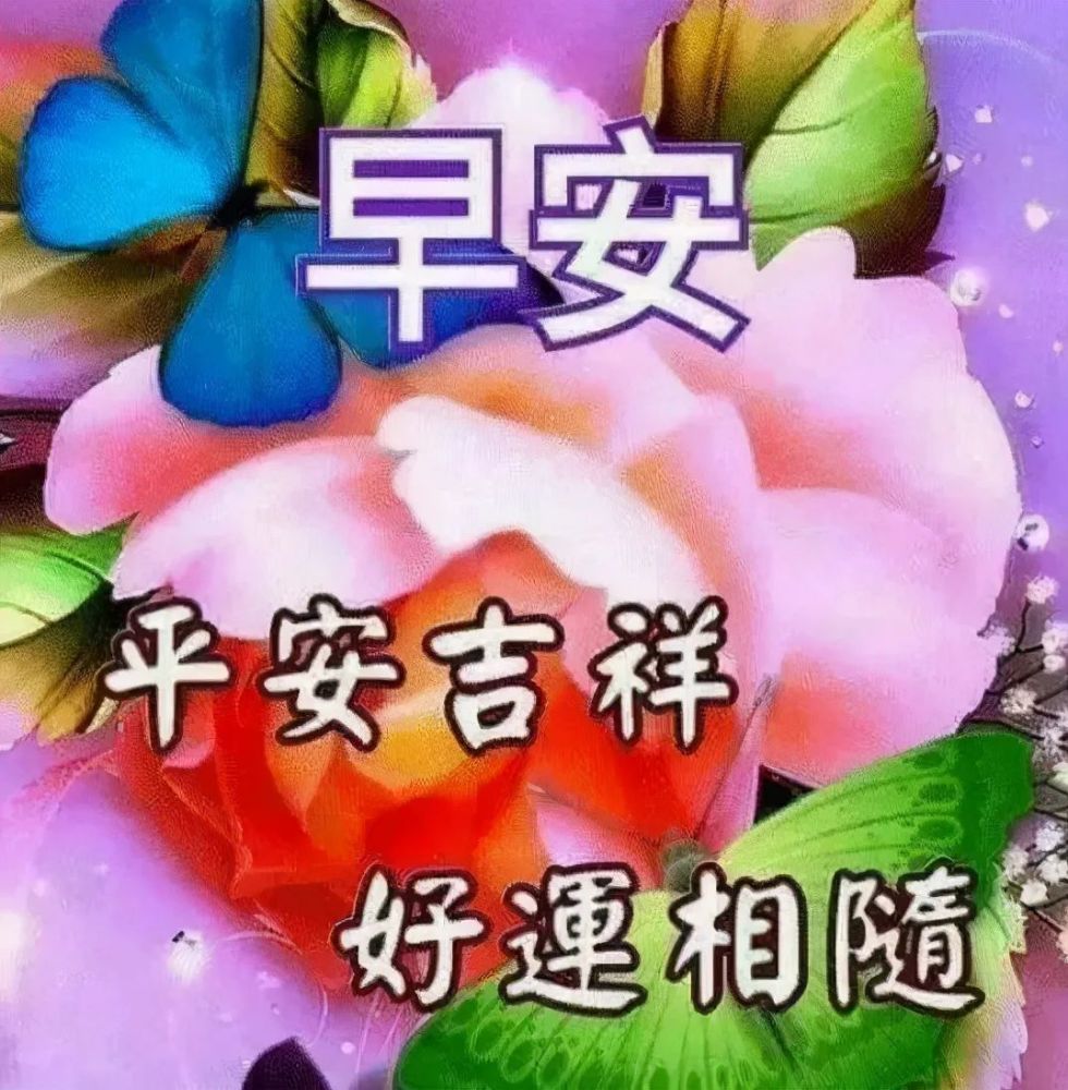 每日早上好問候表情包讓你心情愉快的動態祝福圖片