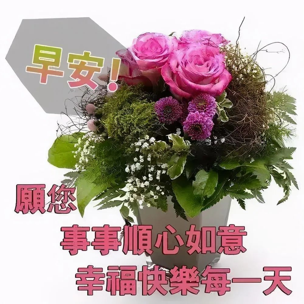 每日早上好问候表情包让你心情愉快的动态祝福图片