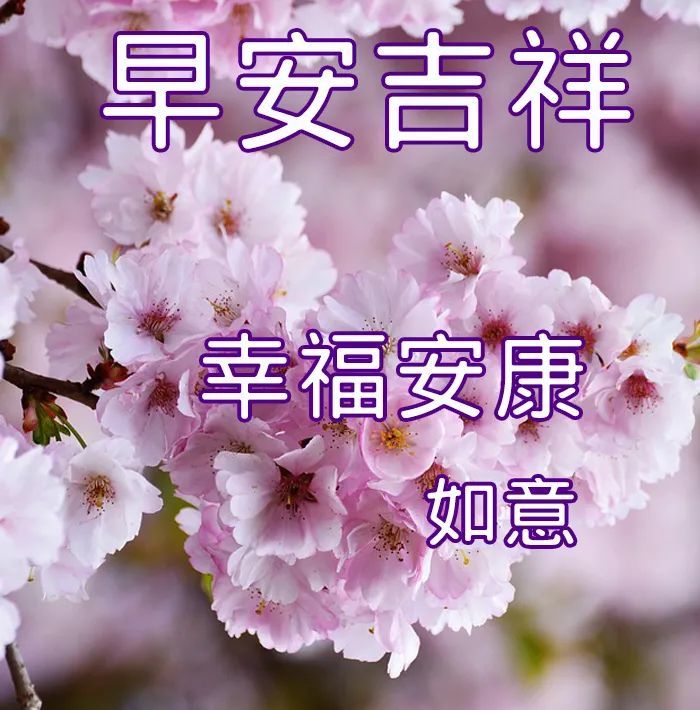 早安愉快祝福語大全早安圖片大全