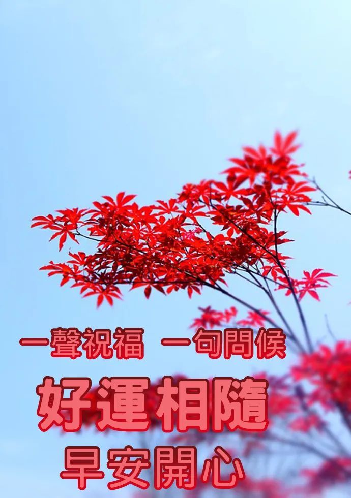 早安愉快祝福語大全早安圖片大全