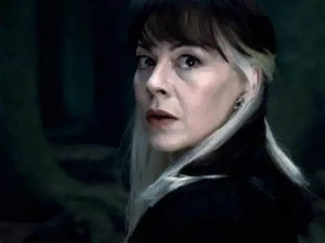 mccrory在" harry potter"电影中扮演诡计多端的narcissa malfoy.