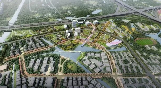 【探索】1400余亩公益林基本建成！来看北蔡楔形绿地未来规划_腾讯新闻