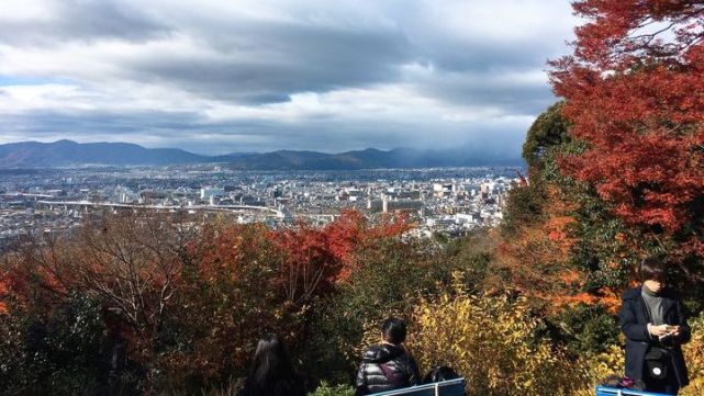 来伏见稻荷大社游玩,遇见工人在"种"鸟居,登上山顶风景大不同