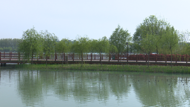 临颍曾经的窑坑废弃地现在成了人见人爱的湿地公园