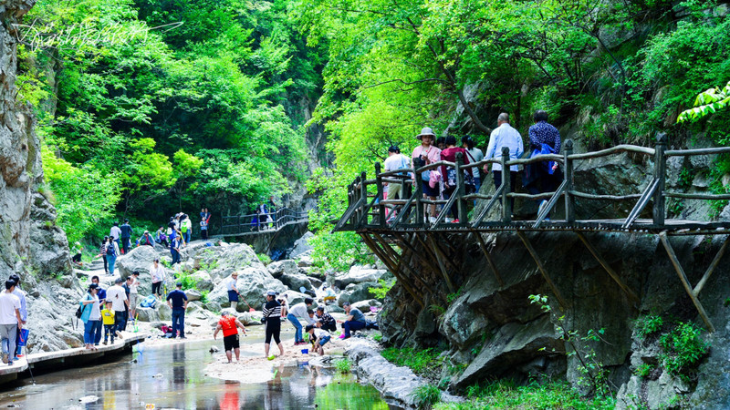 栾川免费旅游景点图片