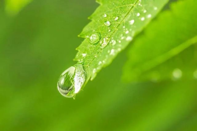 春雨貴如油,乾旱了一個春天的莊稼,這個時候急需雨水的灌溉,沒有了