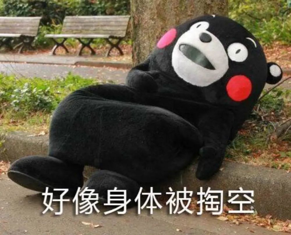 一言 楠 尽的石楠花开啦 在申城这些地方可赏 腾讯新闻