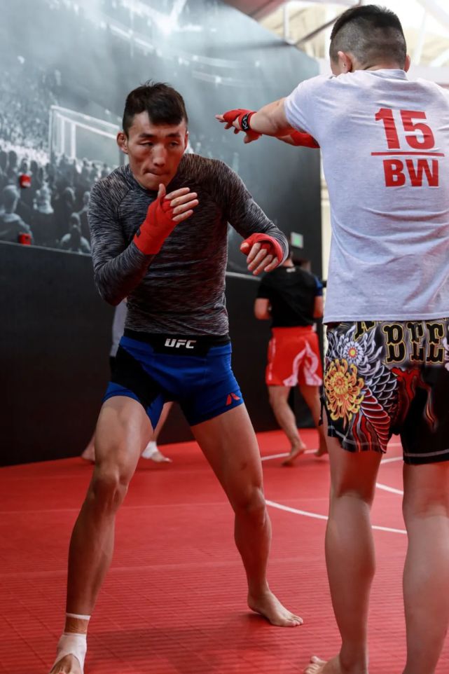 傲日其楞,这个名为"宇宙"的蒙族汉子想称霸八角笼_腾讯新闻