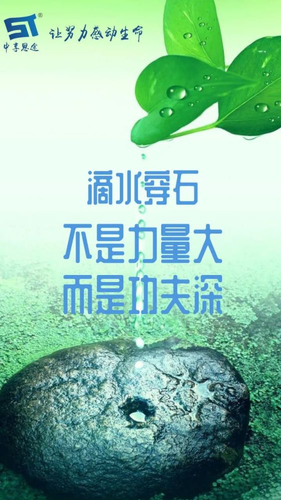 每日一签滴水穿石