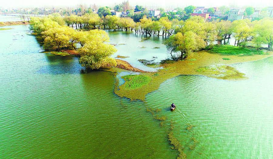 巢湖市人口_安徽9个县级市城区总人口:巢湖最多,潜山最少,无为多于天长