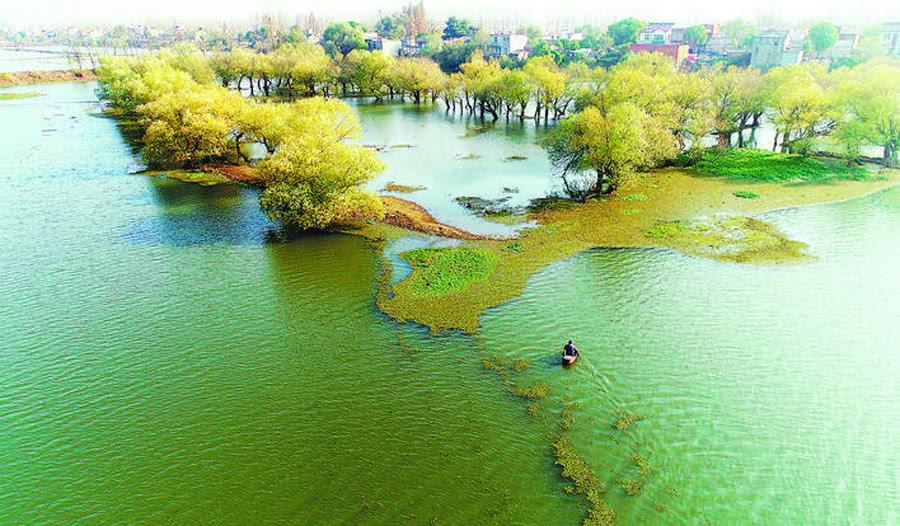 巢湖人口_安徽9个县级市城区总人口:巢湖最多,潜山最少,无为多于天长