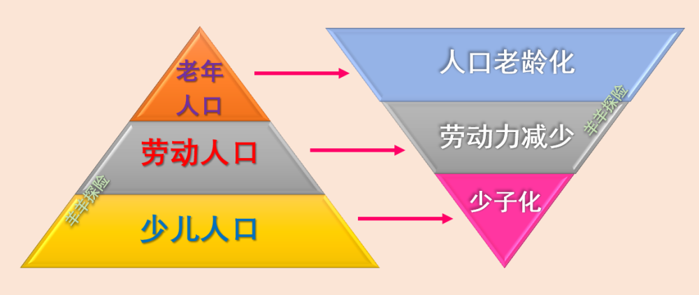 我国人口结构从建国的"金字塔"到现在的"长方形,并将很快向"倒金字塔