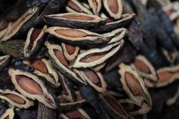 槟榔吃多了会怎么样 有哪些副作用