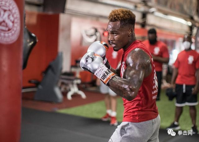 小查洛将和卡斯塔诺打响超次中量级世界拳王统一战