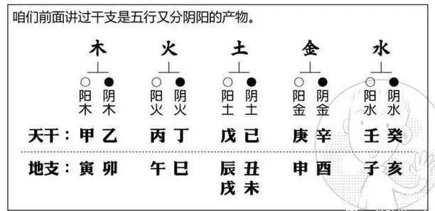 亥 阴水阳用戌 阳土酉 阴金申 阳金未 阴土午 阳火阴用巳 阴火阳用辰