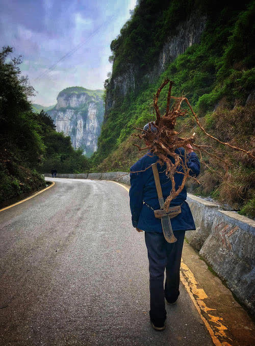 山西大爷砍柴意外发现120斤大唐黄金,专家劝其上交,获200元奖励