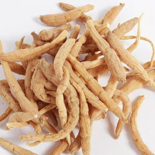 太子参的功效有哪些