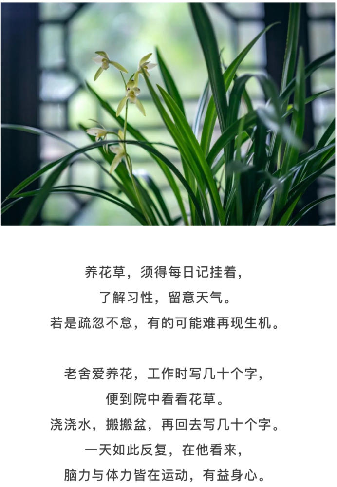 最好的养生是沾花惹草