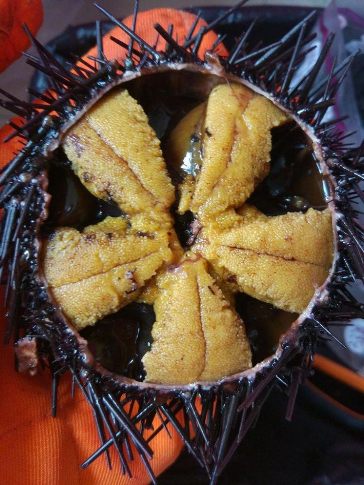 说说对"海胆蒸蛋"事件的一些看法