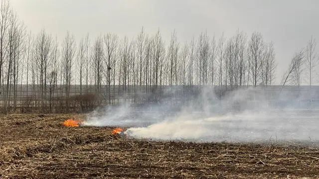黑龙江省宁安市一处玉米地里的秸秆在燃烧.