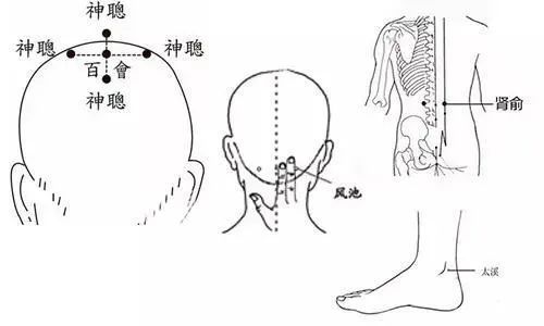 中医养发方法养护头发的中医理论原则:滋肾益精,补气养血,疏利肝胆