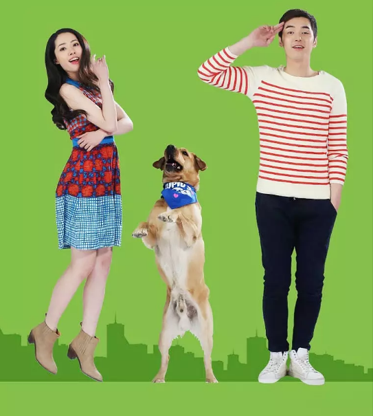 神犬小七3求新求变时隔三年火热回归暑期档突围战力满满